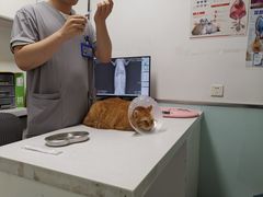 -达爱动物医院·犬猫分区·CT·复杂眼科(远洋山水分院)