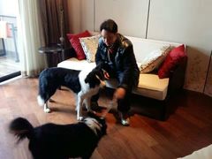 -上海崇明金茂凯悦酒店