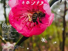 -桃花涧
