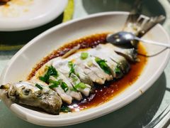 -金美华轩(东方路齐鲁店)