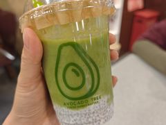 -油梨树AVOCADO TREE(望京店)