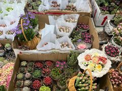 -循礼门鲜花花市(武汉循礼门店)