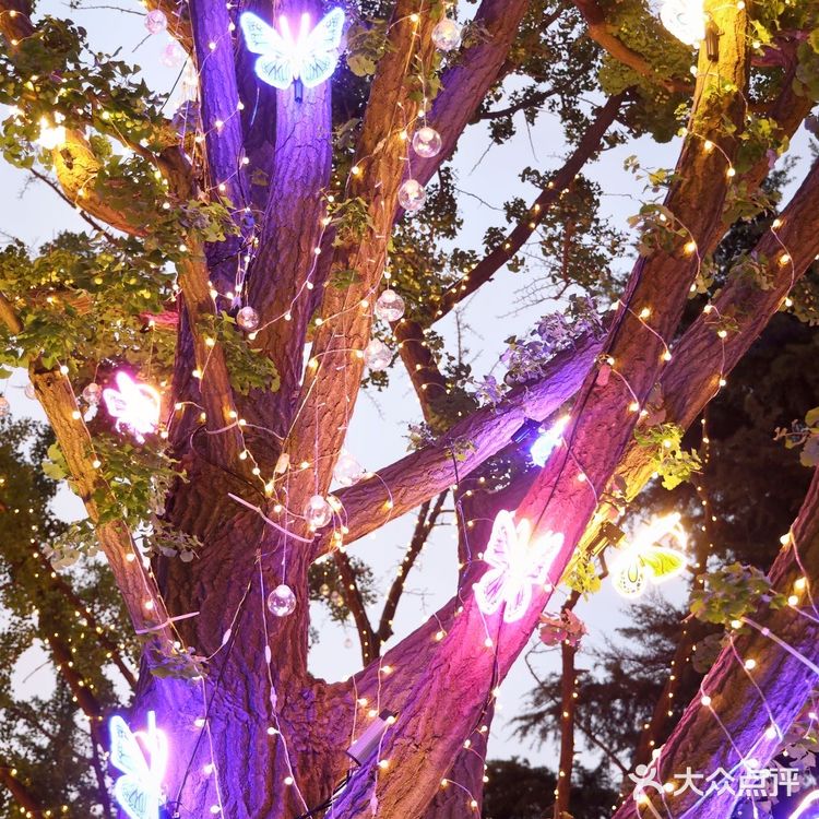 🥂 很多本地人都不知道的宝藏地