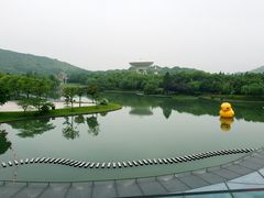 -上海佘山世茂艾美酒店