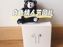 -Apple 零售店(Canton Road)