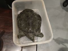 -茶叁酒肆·楚味江湖(菱角湖店)
