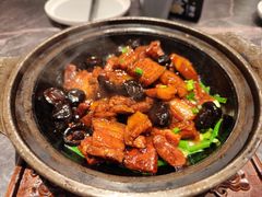 杜老师红烧肉-新乾隆酒楼(帝景园店)