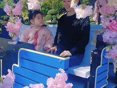 -上海鲜花港