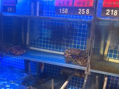 -捞围鲜·港式打边炉(海阳路店)