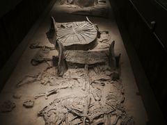 -北京大葆台遗址博物馆