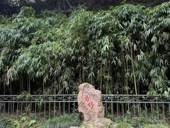 -杭州黄龙洞