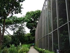 -新加坡飞禽公园