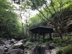 -九龙潭景区