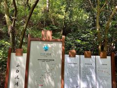 -羚羊峡古栈道森林公园