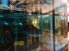 -金翠皇宫粤菜·点心·海鲜(科技园店)