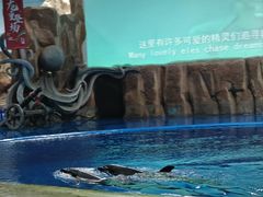 -华夏文旅海洋公园