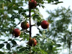 -白水寺森林公园