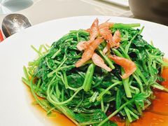 -红城阁·上海味道(四平路店)