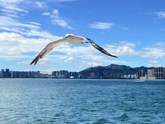 -刘公岛景区