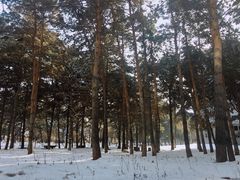 -吉林大学(南岭校区)