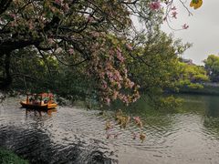 -潮州西湖