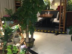 -十二舍·湯物素煮(江泰潤政店)