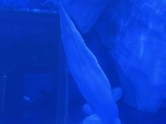 -上海海昌海洋公园-冰山北极馆
