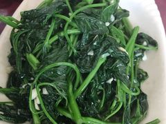 炒苕尖-温江公平红烧兔(总店)