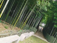 -树山生态村