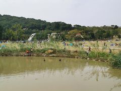 -牛岗山公园