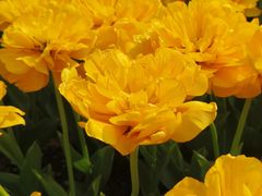 -玄武湖景区-情侣园游乐场