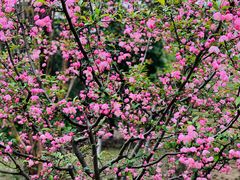 -王红军龙虾(新民路店)