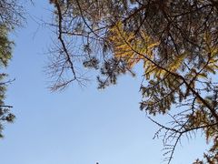 -崂山巨峰游览区