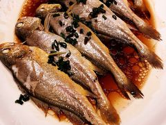 -京香轩·中餐厅(上海中庚聚龙酒店)