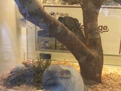 -龙猫仔乐园(惠福东路店)