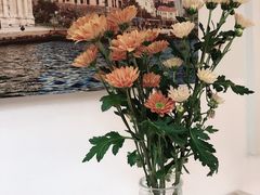 -伊斯坦布尔土耳其清真咖啡餐厅