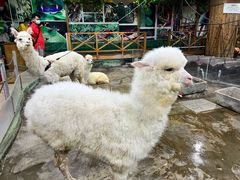 -上海大自然野生昆虫馆(东方明珠·爬宠昆虫探索中心)