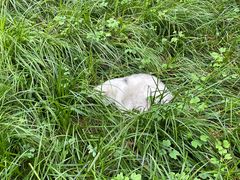 -宣武艺园
