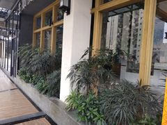 -生如夏花泰式火锅(鹭洲里店)