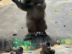 -西安秦岭野生动物园