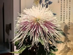 -汇龙潭