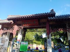 -团结湖公园