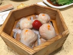 -正哥点心皇子(锦江国际广场店)