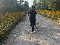 -森林公园(尖草坪区)