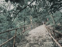 -北京上方山国家森林公园