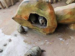 -长鹿旅游休博园