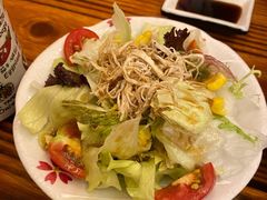 鸡丝沙拉-坂吉屋·居酒屋深夜食堂(龙湖店)