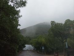 -宝岩生态观光园