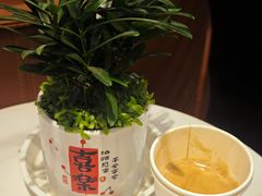 -招商银行(上海徐家汇支行)