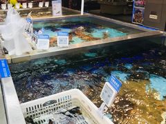 活海鲜-盒马鲜生(宝地店)
